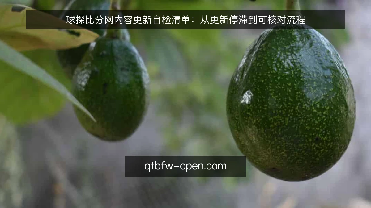 球探比分网内容更新自检清单:从更新停滞到可核对流程
