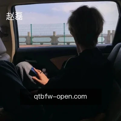 赵磊